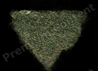 photo texture of ivy decal 0002